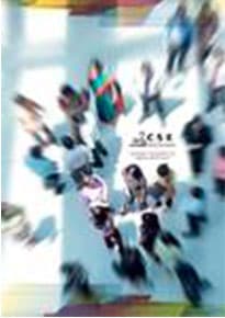 CSE Annual Report 2010
