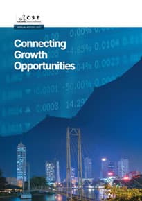 CSE Annual Report 2017