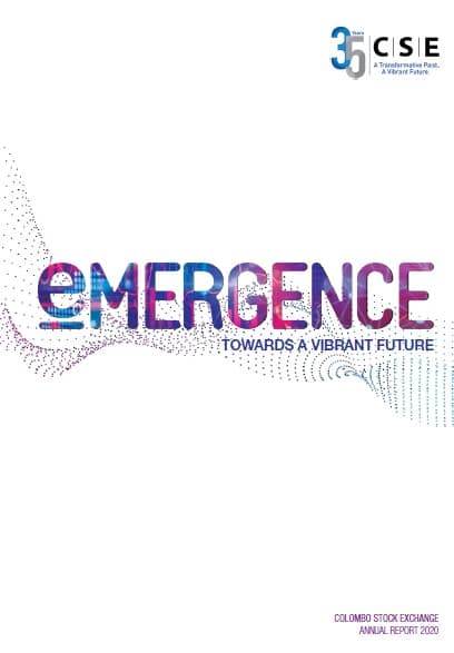 CSE Annual Report 2020