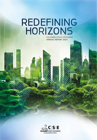 CSE Annual Report 2024